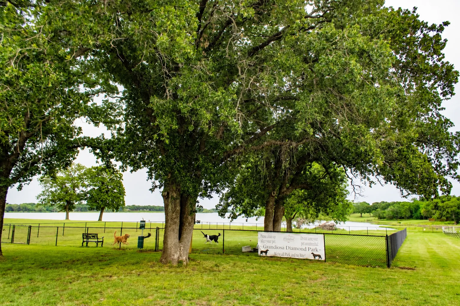 The fenced dog park at Waterfront Hideaway Ranch - camping with dogs on Lake Lewisville, two pets per site